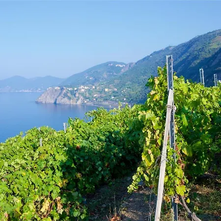 Appartement Il Nido Di Marco A Due Passi Dal Mare